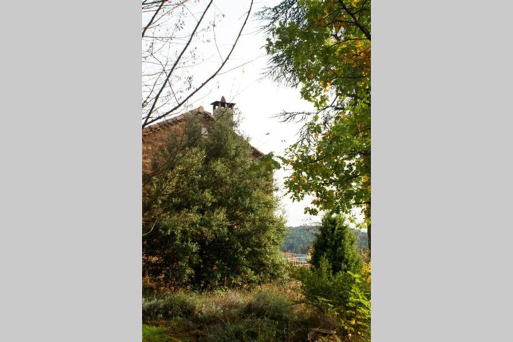 Belle Et Grande Maison Ardechoise Payzac  Buitenkant foto